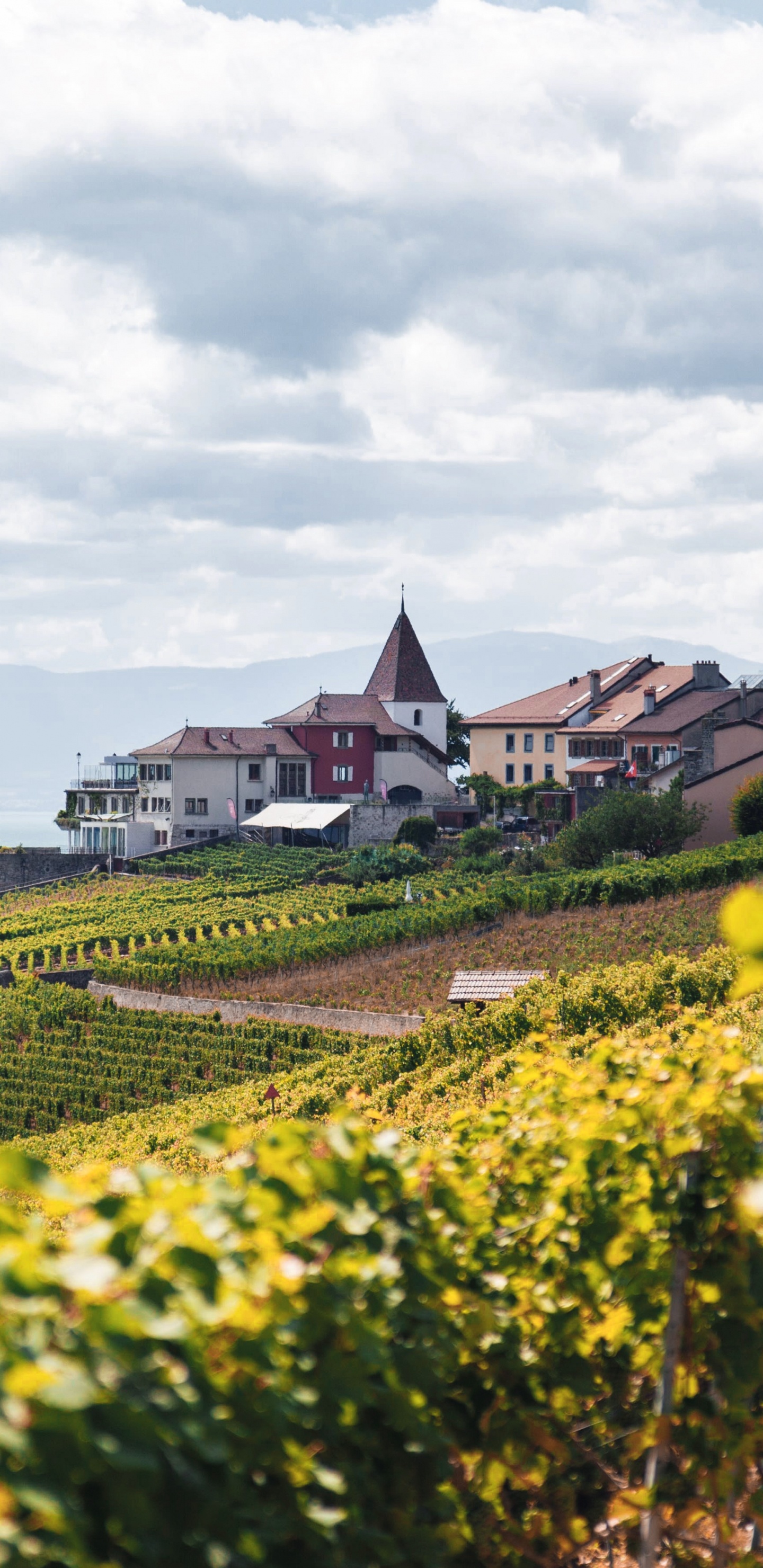 Conception, Culture, L'écorégion, Paysage Naturel, Bâtiment. Wallpaper in 1440x2960 Resolution