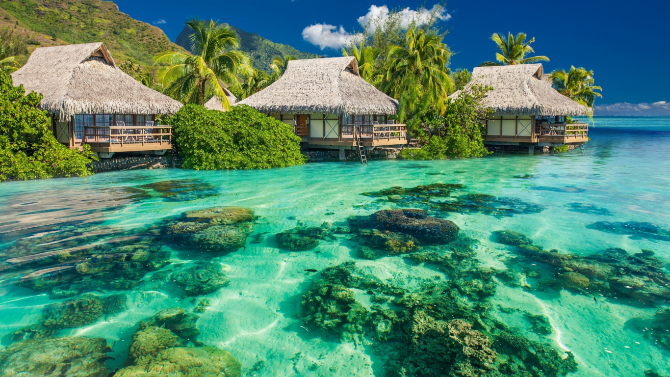 Casa de Madera Marrón Sobre Verde Cuerpo de Agua Durante el Día. Wallpaper in 1366x768 Resolution