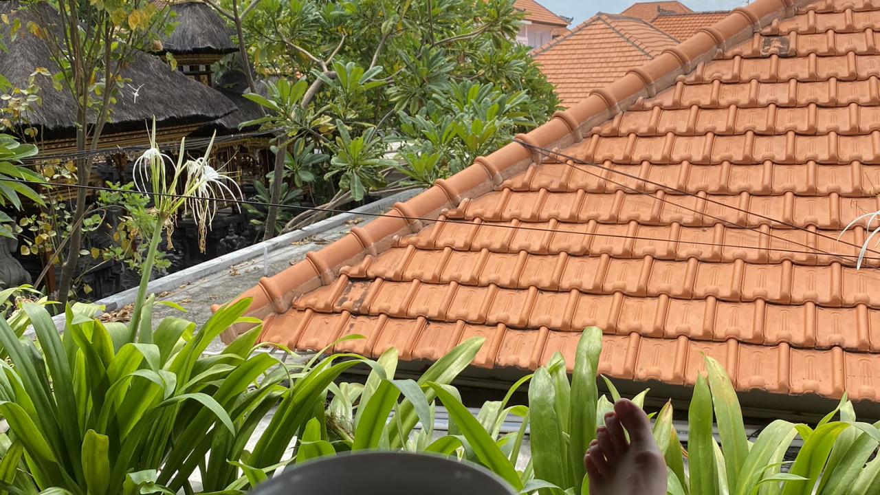 Roof, Palm Trees, Eyewear, Cup, Nature. Wallpaper in 1280x720 Resolution