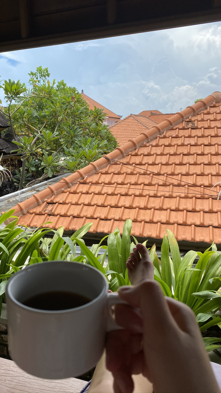 Roof, Palm Trees, Eyewear, Cup, Nature. Wallpaper in 750x1334 Resolution