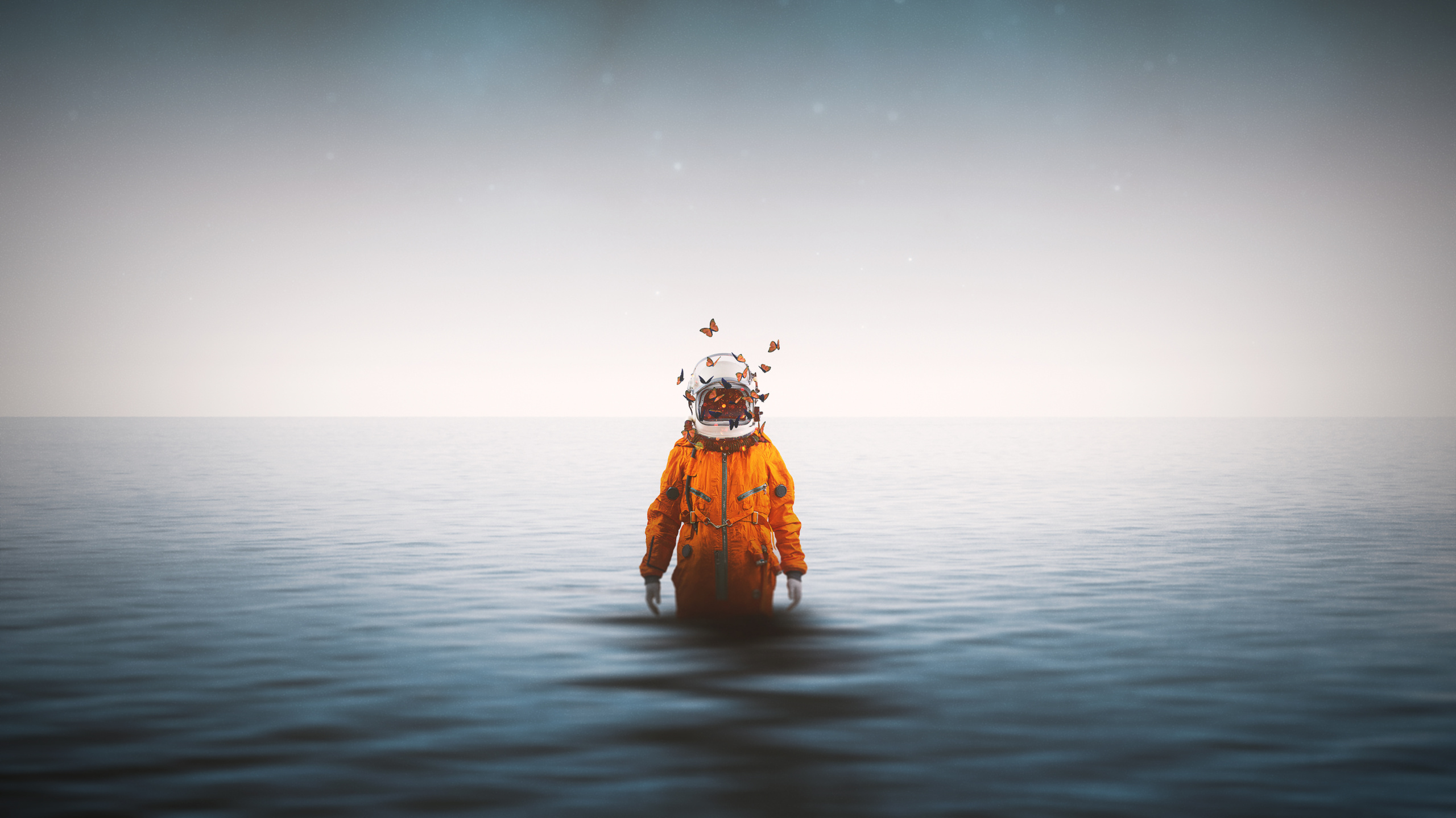 Person in Orange Jacket Standing on Water Under Starry Night. Wallpaper in 2560x1440 Resolution