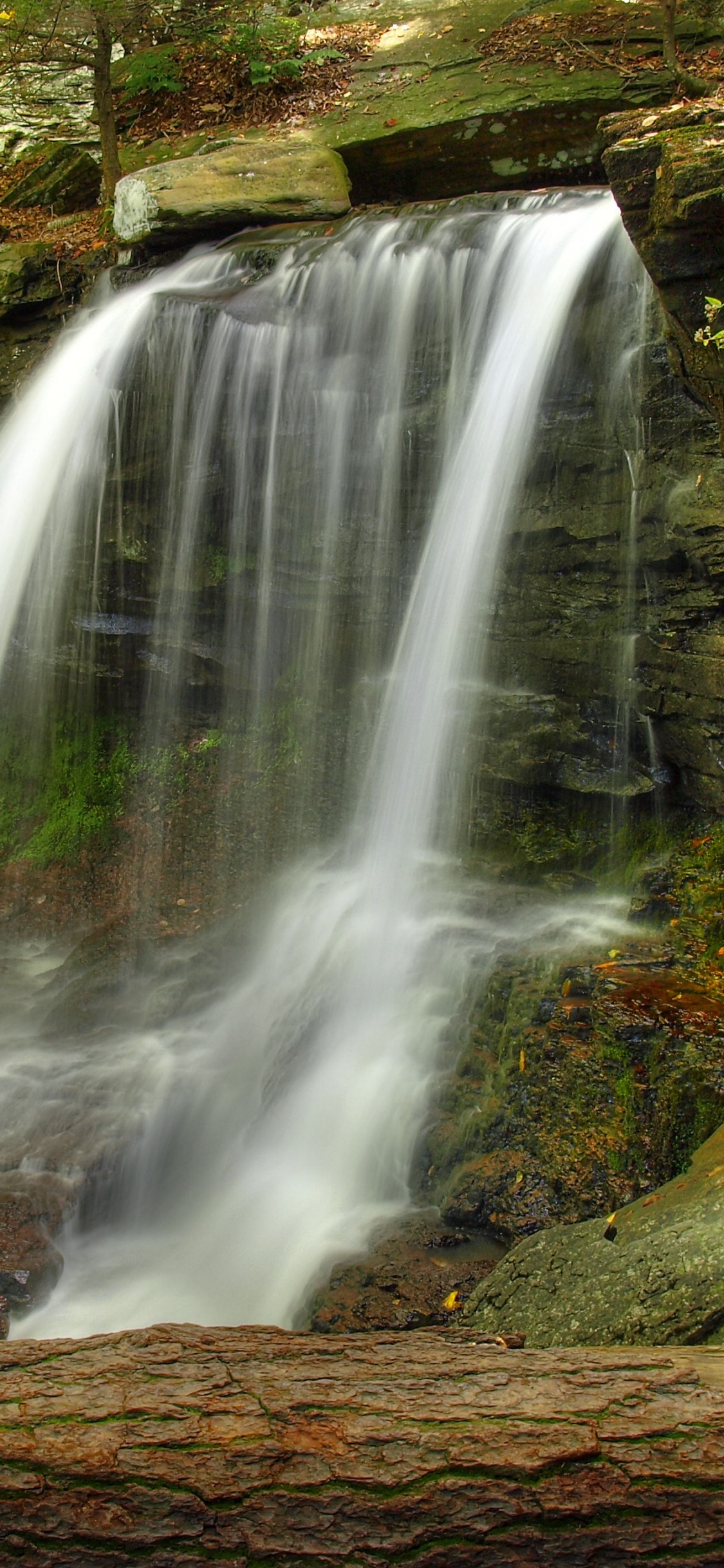 Cascadas en el Bosque Durante el Día.. Wallpaper in 1125x2436 Resolution