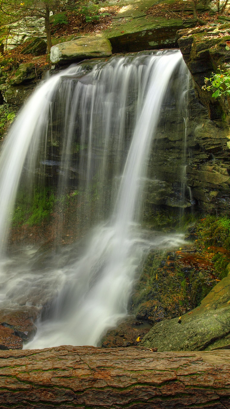 Cascadas en el Bosque Durante el Día.. Wallpaper in 750x1334 Resolution