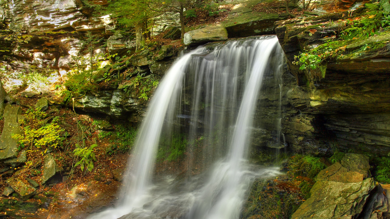 Cascades en Forêt Pendant la Journée. Wallpaper in 1366x768 Resolution