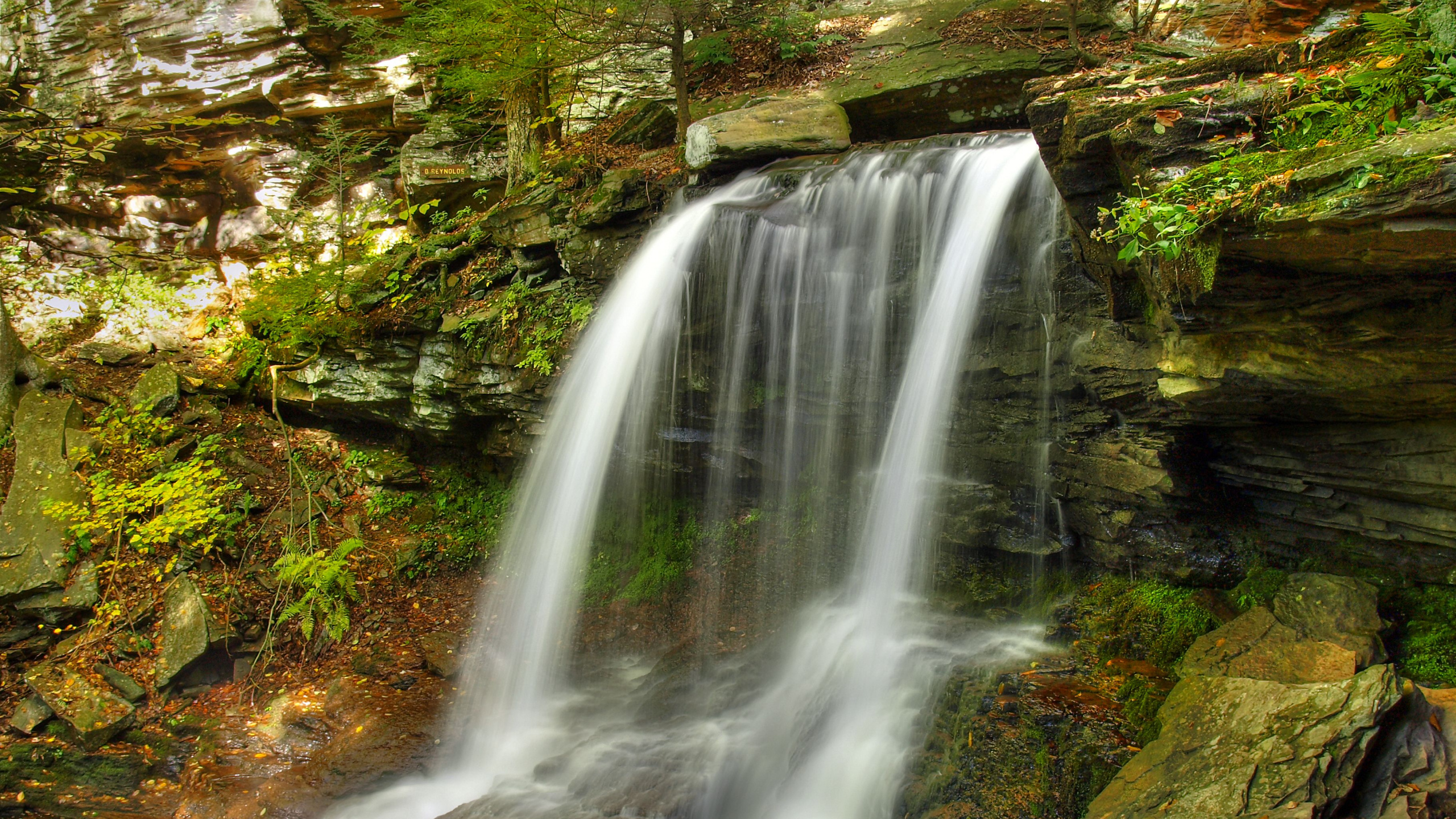 Cascades en Forêt Pendant la Journée. Wallpaper in 2560x1440 Resolution