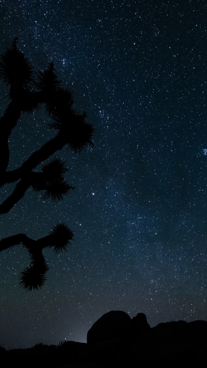 Estrella, Cielo de la Noche, Negro, Azul, Constelación. Wallpaper in 720x1280 Resolution