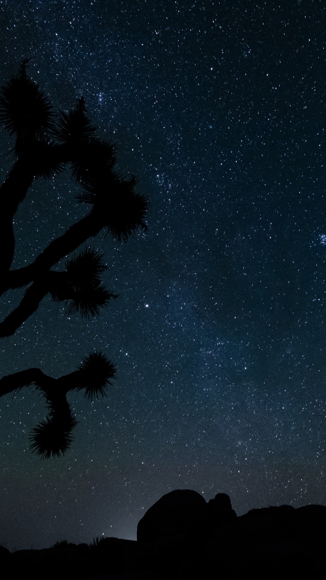 明星, 夜晚的天空, 黑色的, 星座, 午夜 壁纸 1080x1920 允许