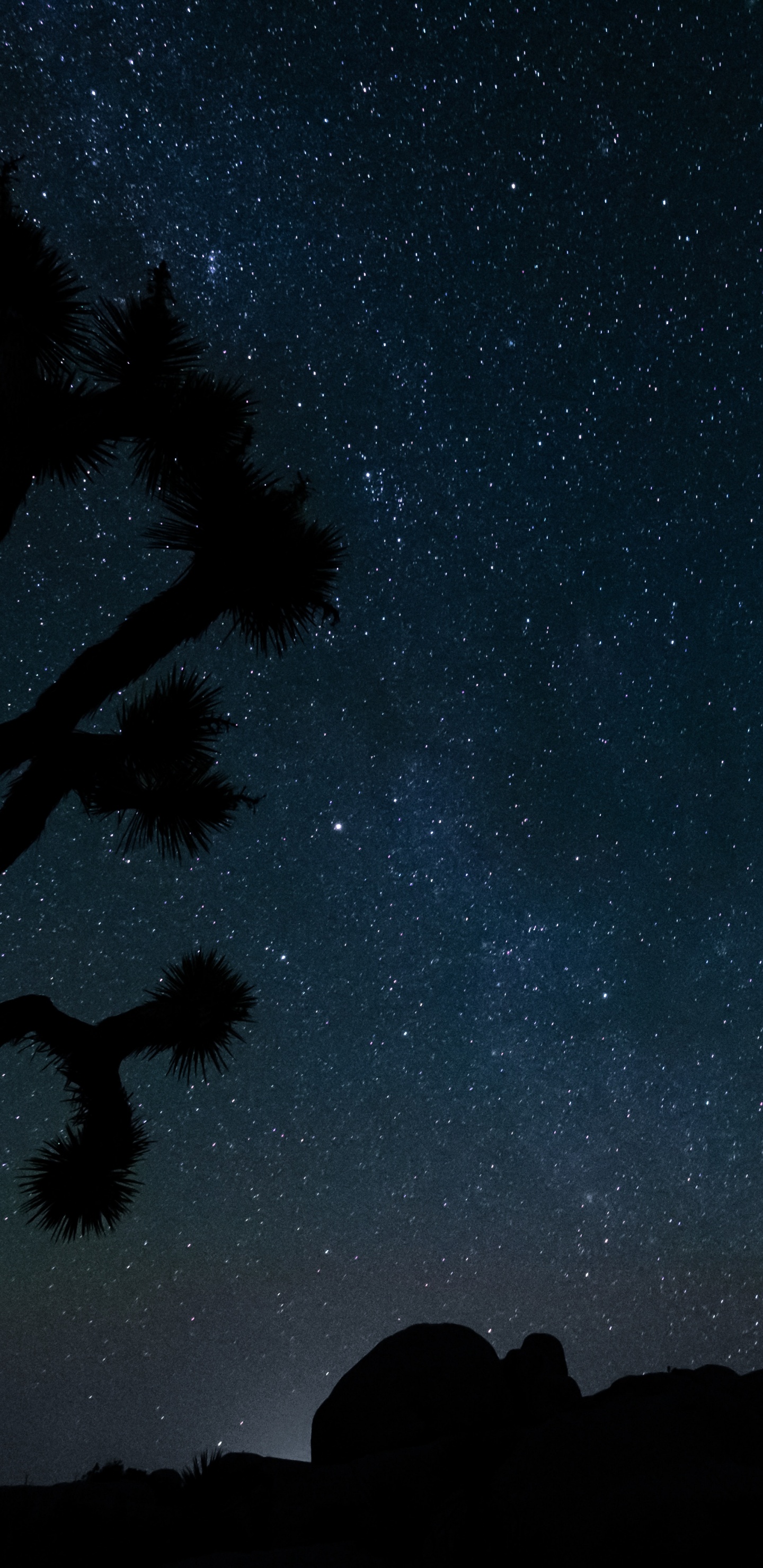 明星, 夜晚的天空, 黑色的, 星座, 午夜 壁纸 1440x2960 允许