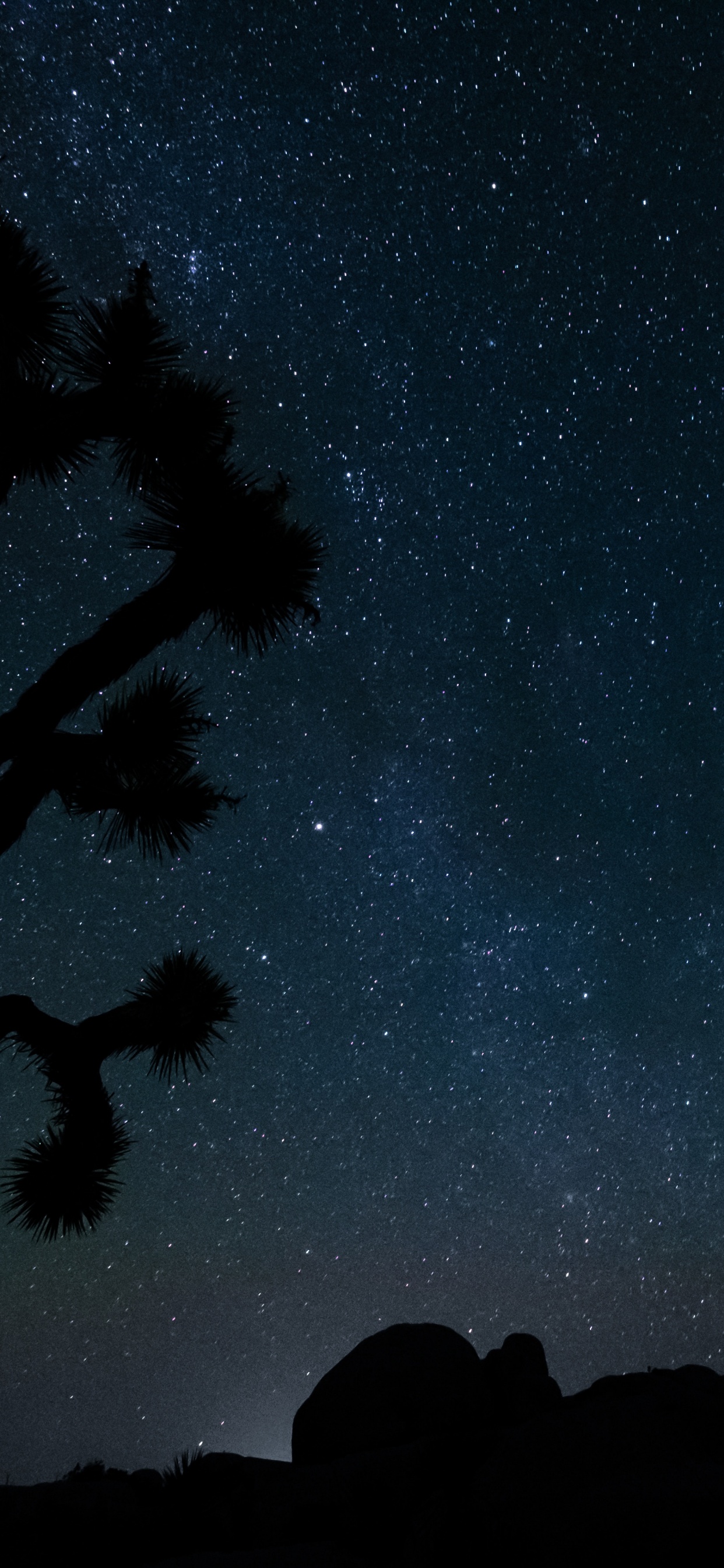 Night, Star, Night Sky, Black, Blue. Wallpaper in 1242x2688 Resolution