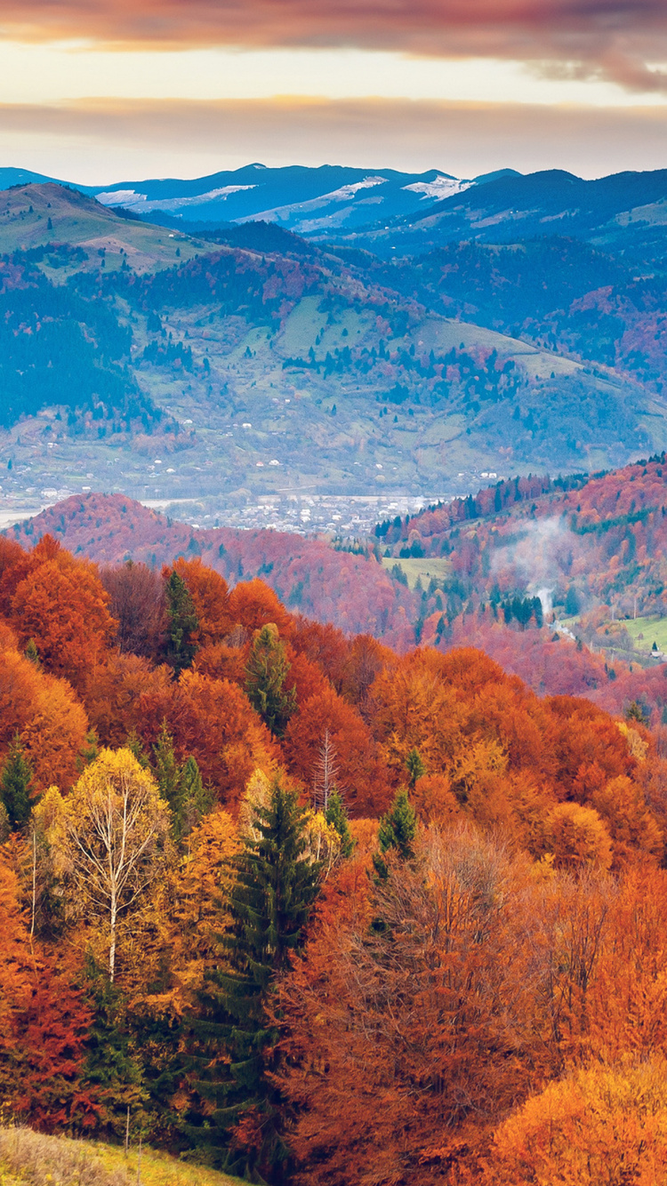 Äpfeln, Macbook Air, Apple MacBook Pro, Herbst, Pflanzen-Gemeinschaft. Wallpaper in 750x1334 Resolution