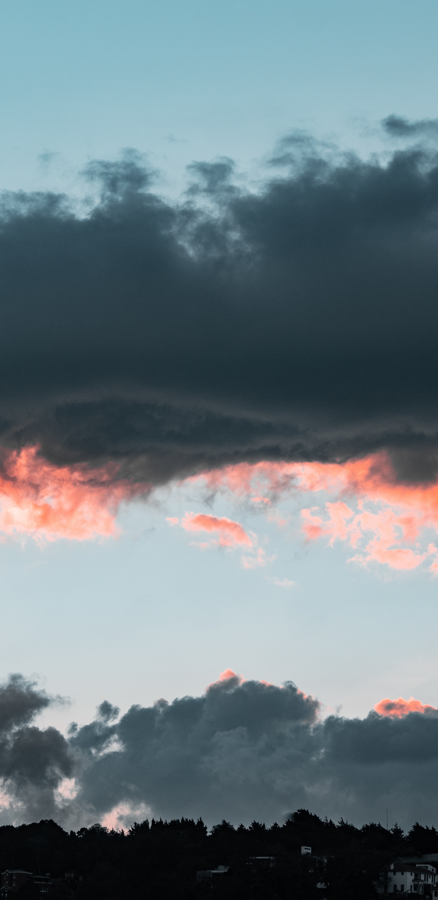 Cumulus, Horizon, Atmosphère, Soir, la Journée. Wallpaper in 1440x2960 Resolution