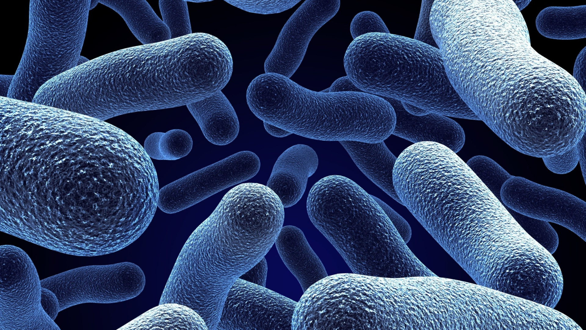 Microbe Bacteria, Bacteria, Microorganism, Microbiology, Antimicrobial Resistance. Wallpaper in 1920x1080 Resolution