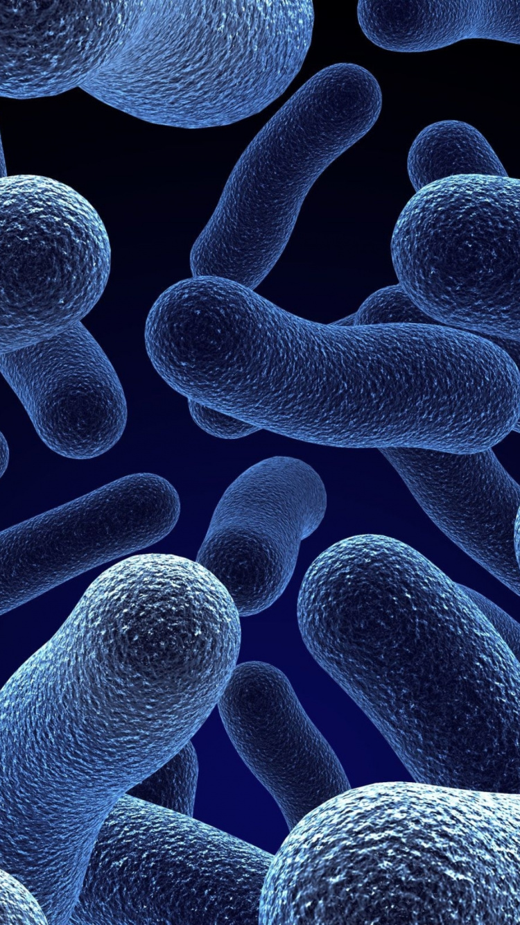 Microbe Bacteria, Bacteria, Microorganism, Microbiology, Antimicrobial Resistance. Wallpaper in 750x1334 Resolution