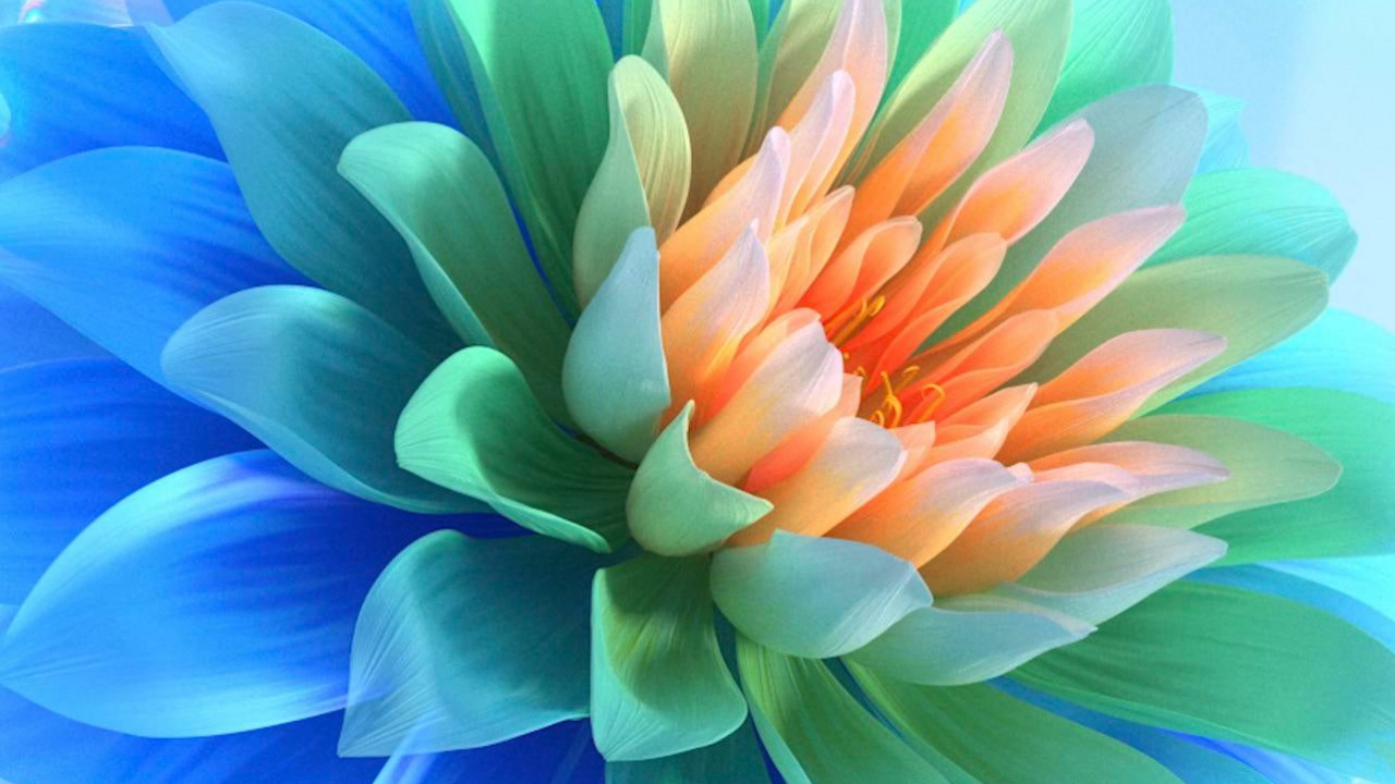 Pétale, Arts Créatifs, la Floraison de la Plante, Plume, Les Fleurs Coupées. Wallpaper in 1280x720 Resolution