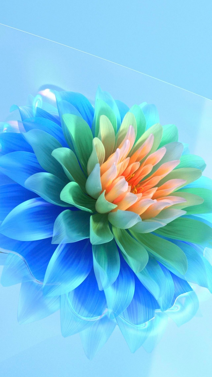 Pétale, Arts Créatifs, la Floraison de la Plante, Plume, Les Fleurs Coupées. Wallpaper in 720x1280 Resolution