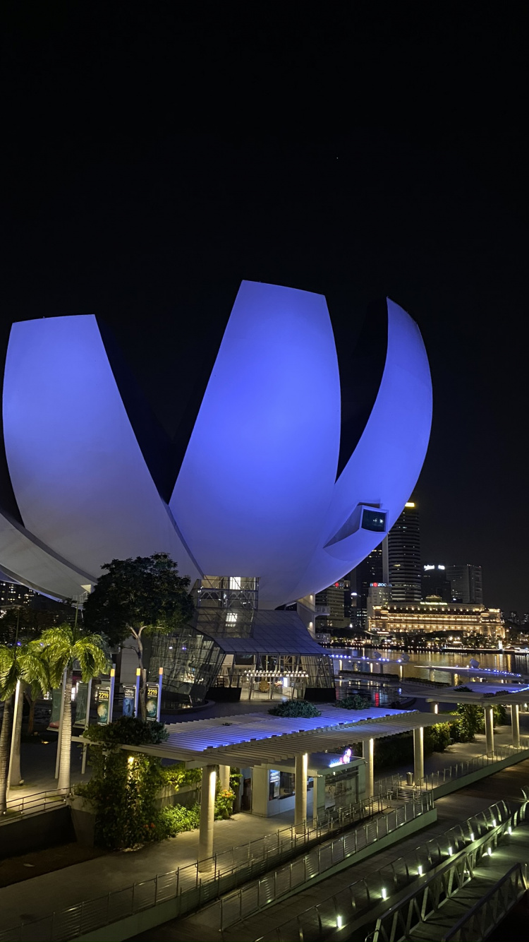 Singapour, Réflexion, Nuit, Métropole, Électricité. Wallpaper in 750x1334 Resolution