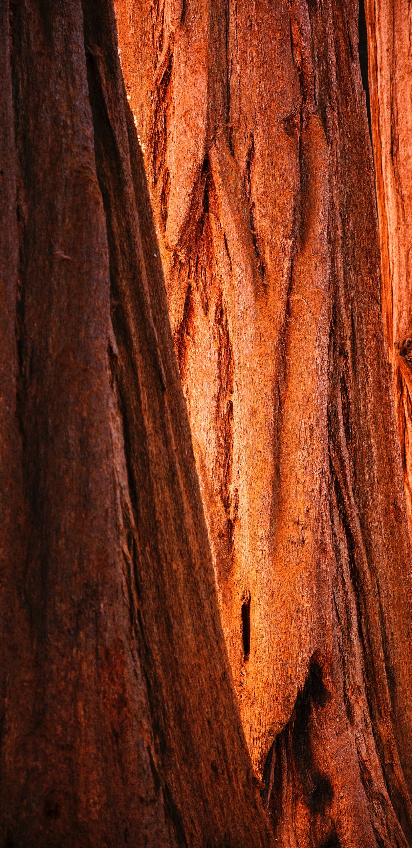 Superficie de Madera Marrón y Negra. Wallpaper in 1440x2960 Resolution