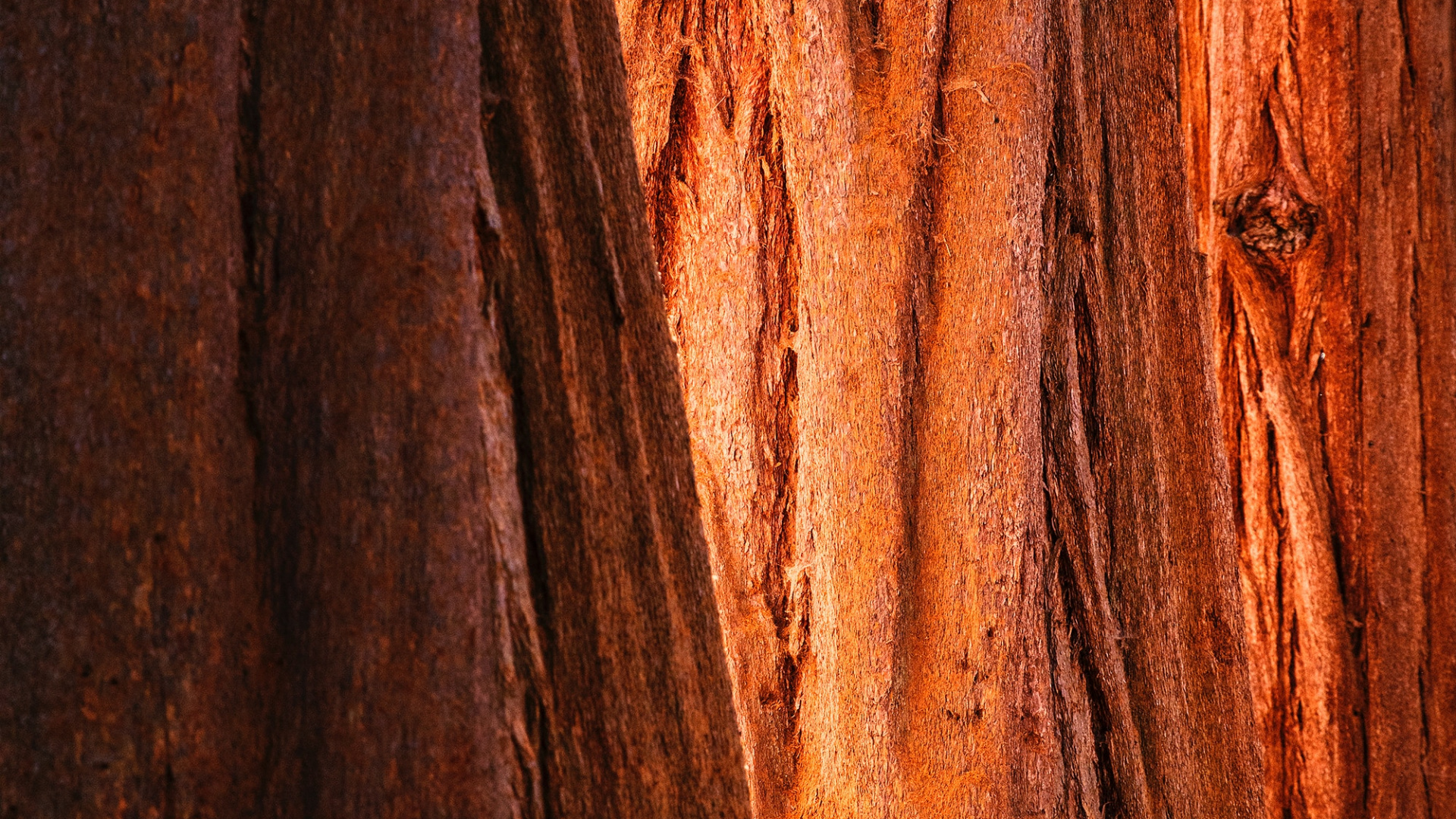 Superficie de Madera Marrón y Negra. Wallpaper in 1920x1080 Resolution