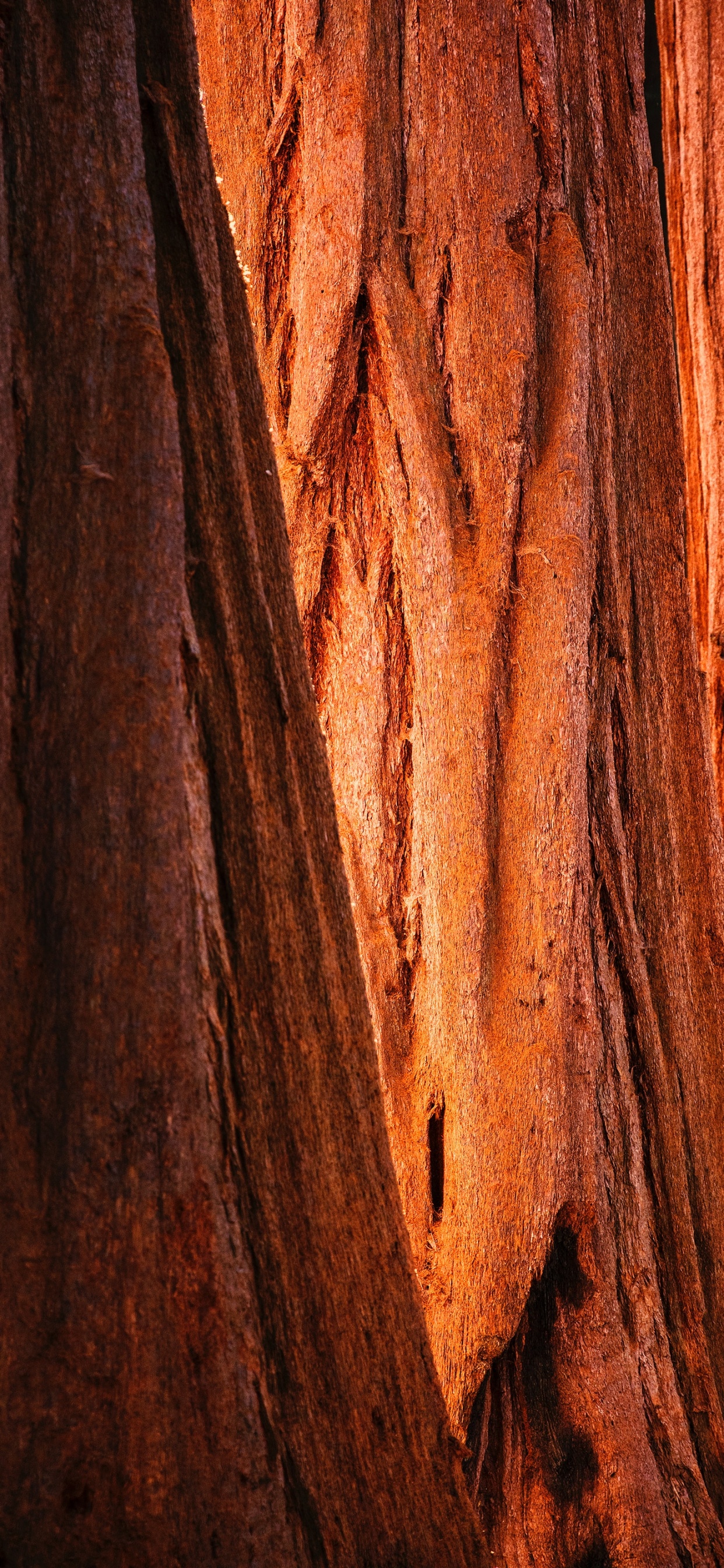 Brown and Black Wooden Surface. Wallpaper in 1242x2688 Resolution