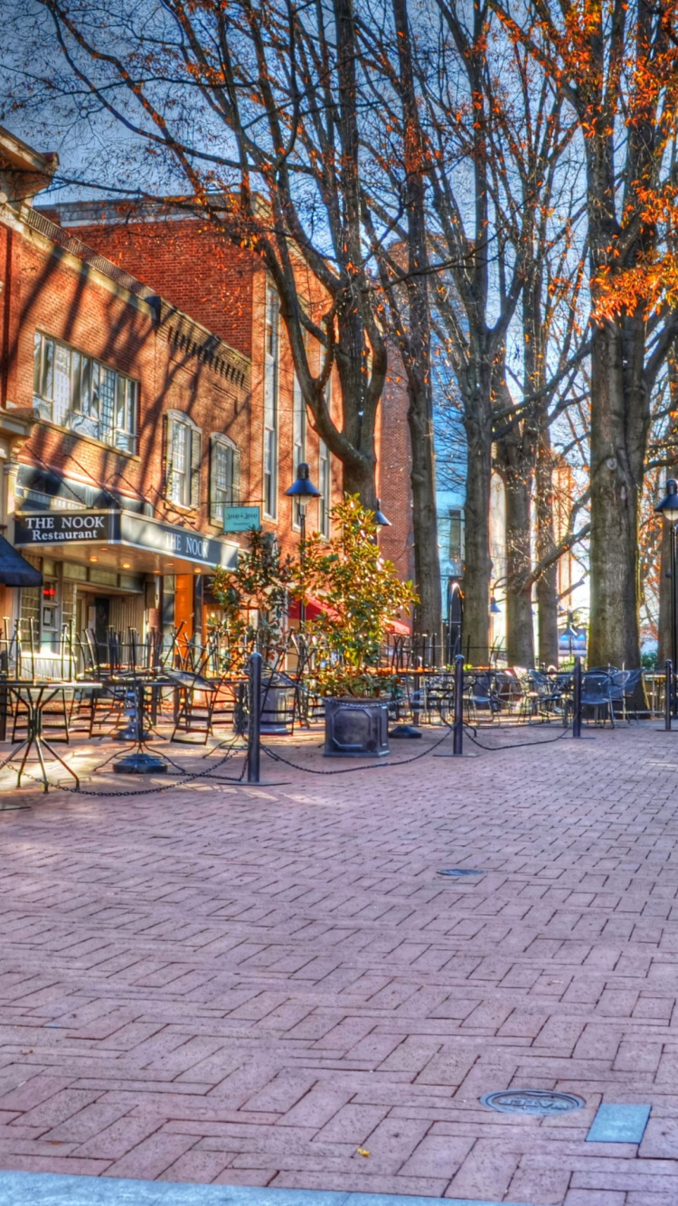 Brown Bare Trees on Sidewalk During Daytime. Wallpaper in 750x1334 Resolution