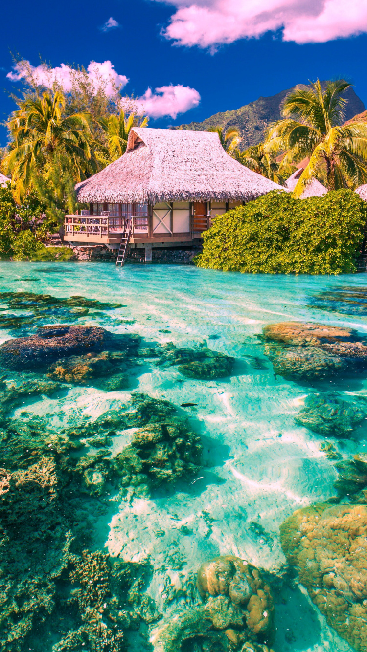 Brown Wooden House on Green Body of Water During Daytime. Wallpaper in 750x1334 Resolution