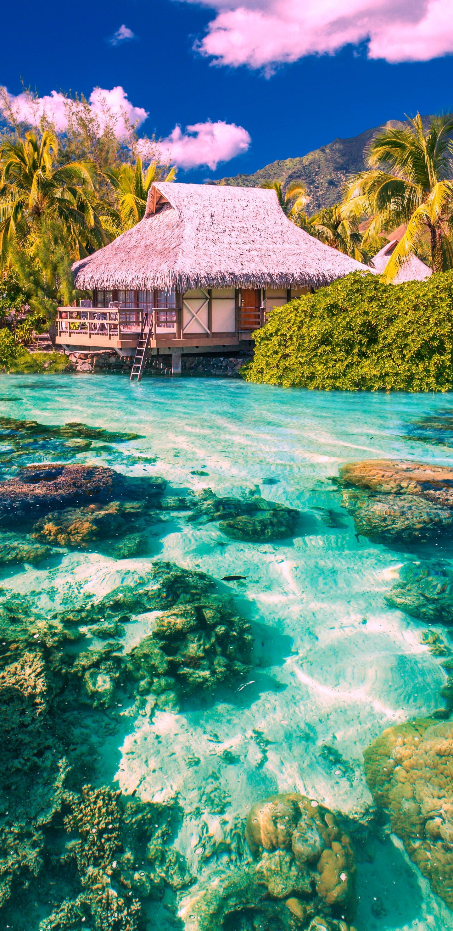 Casa de Madera Marrón Sobre Verde Cuerpo de Agua Durante el Día. Wallpaper in 1440x2960 Resolution