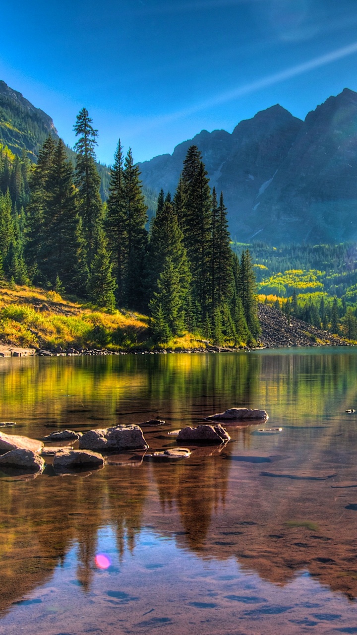 Green Trees Near Lake During Daytime. Wallpaper in 720x1280 Resolution