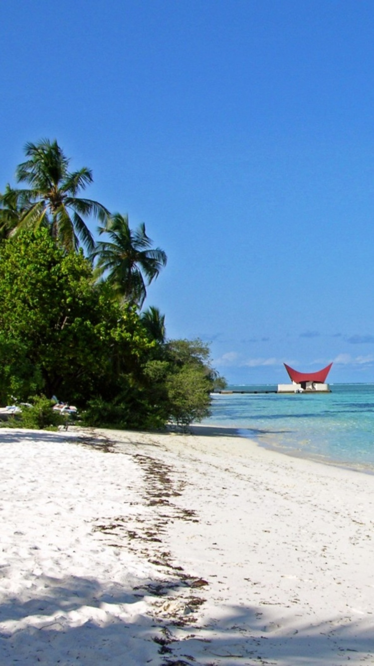 Red Boat on Sea Shore During Daytime. Wallpaper in 750x1334 Resolution