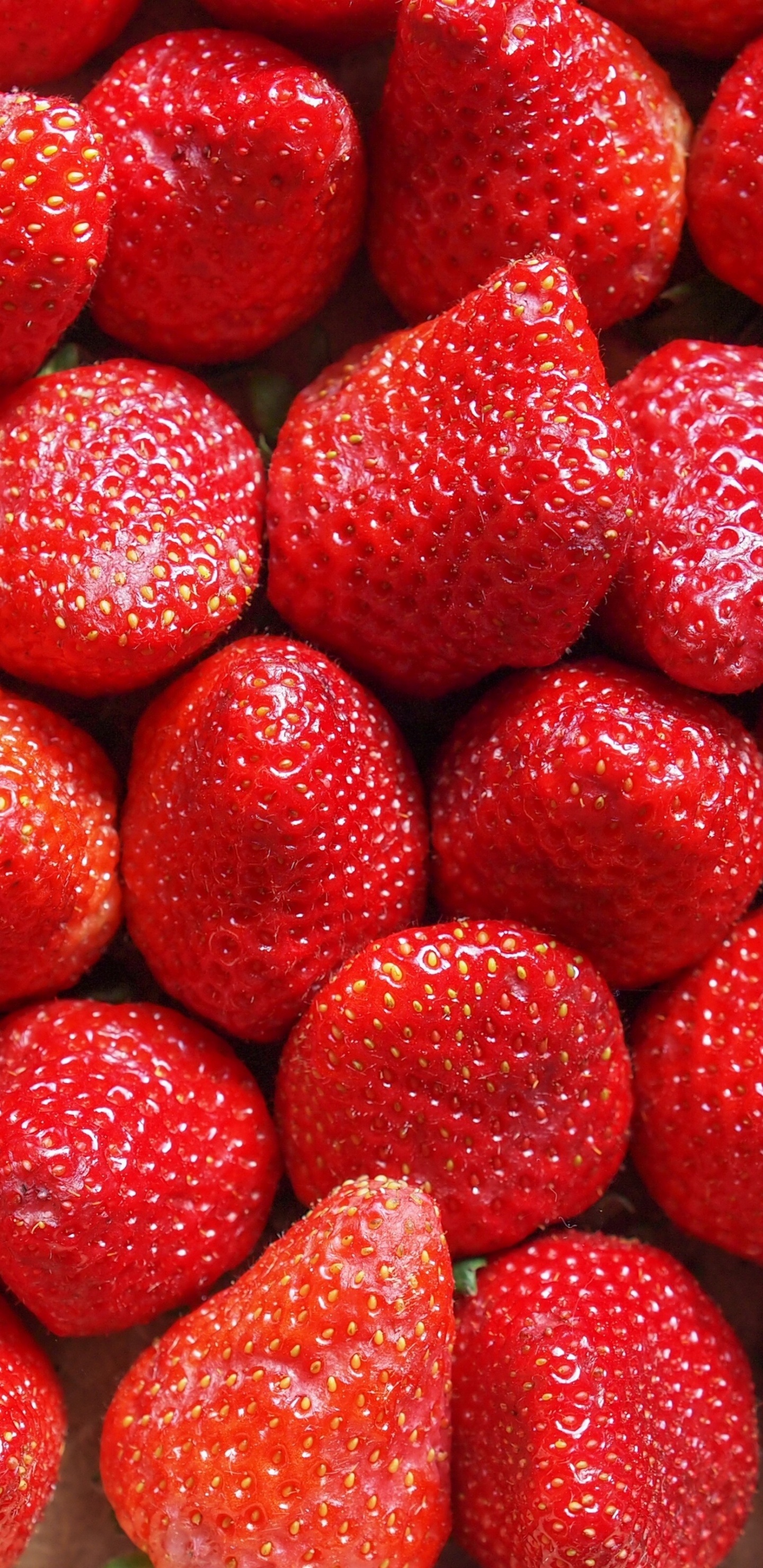 Strawberry, Fruit, Food, Plant, Ingredient. Wallpaper in 1440x2960 Resolution
