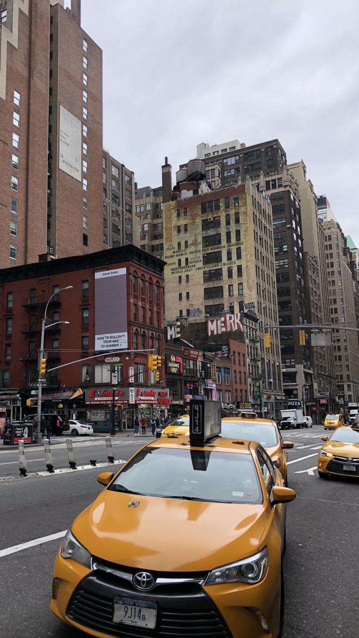 la Ciudad de Nueva York, Rey, Ventana, Auto Compacto, Coche de Tamaño Medio. Wallpaper in 720x1280 Resolution