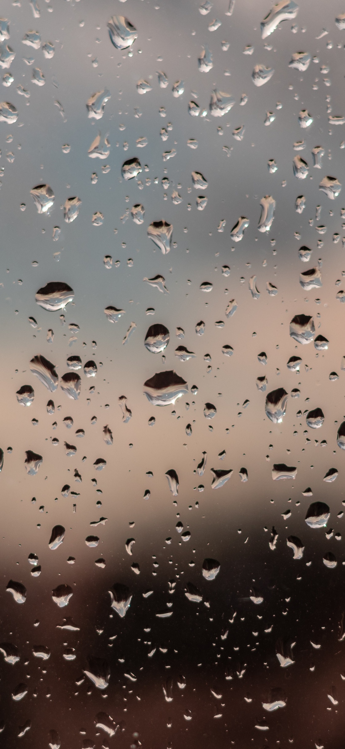 Pluie, Eau, Crachin, Précipitations, Matin. Wallpaper in 1125x2436 Resolution
