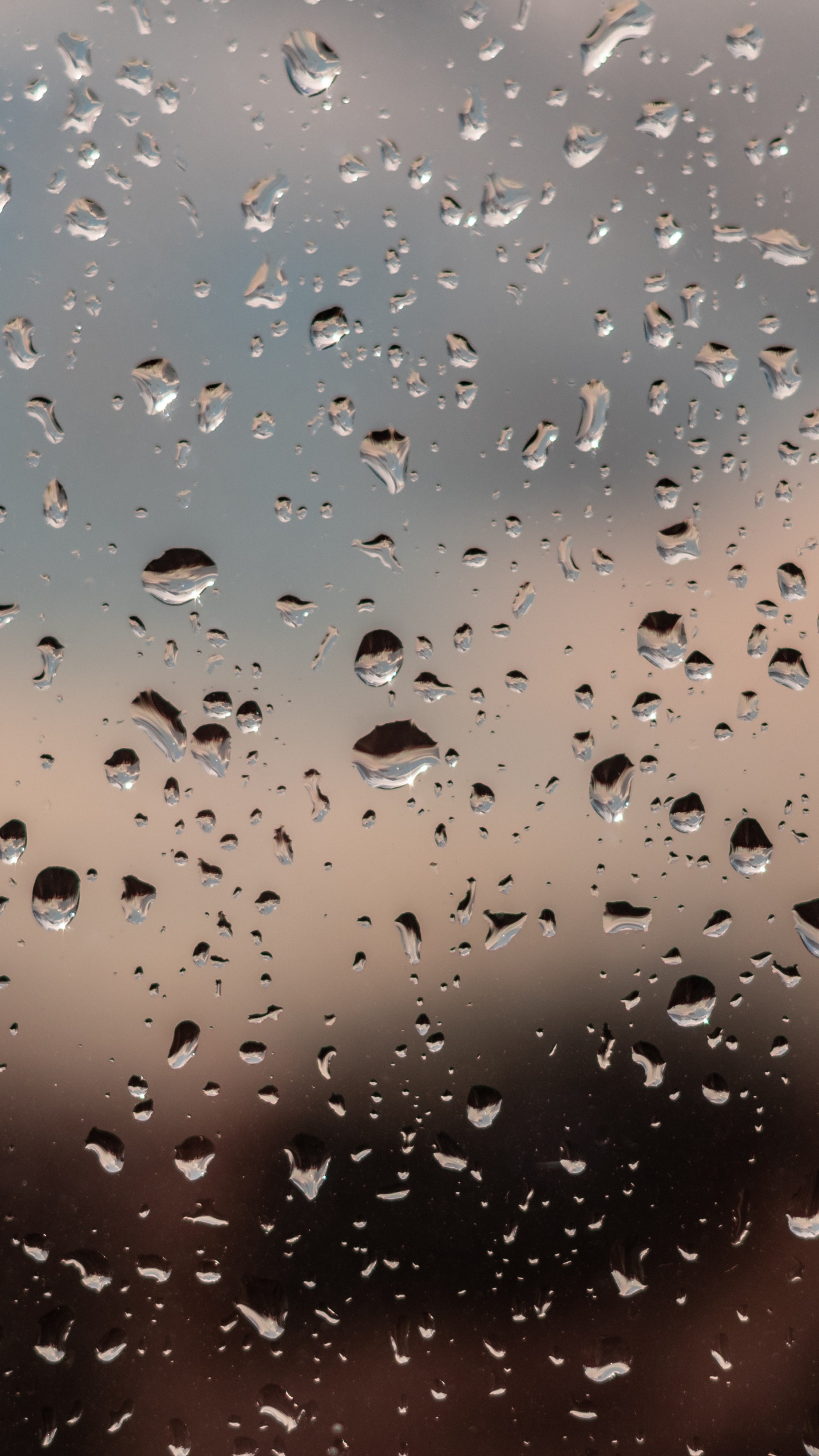 Pluie, Eau, Crachin, Précipitations, Matin. Wallpaper in 1440x2560 Resolution