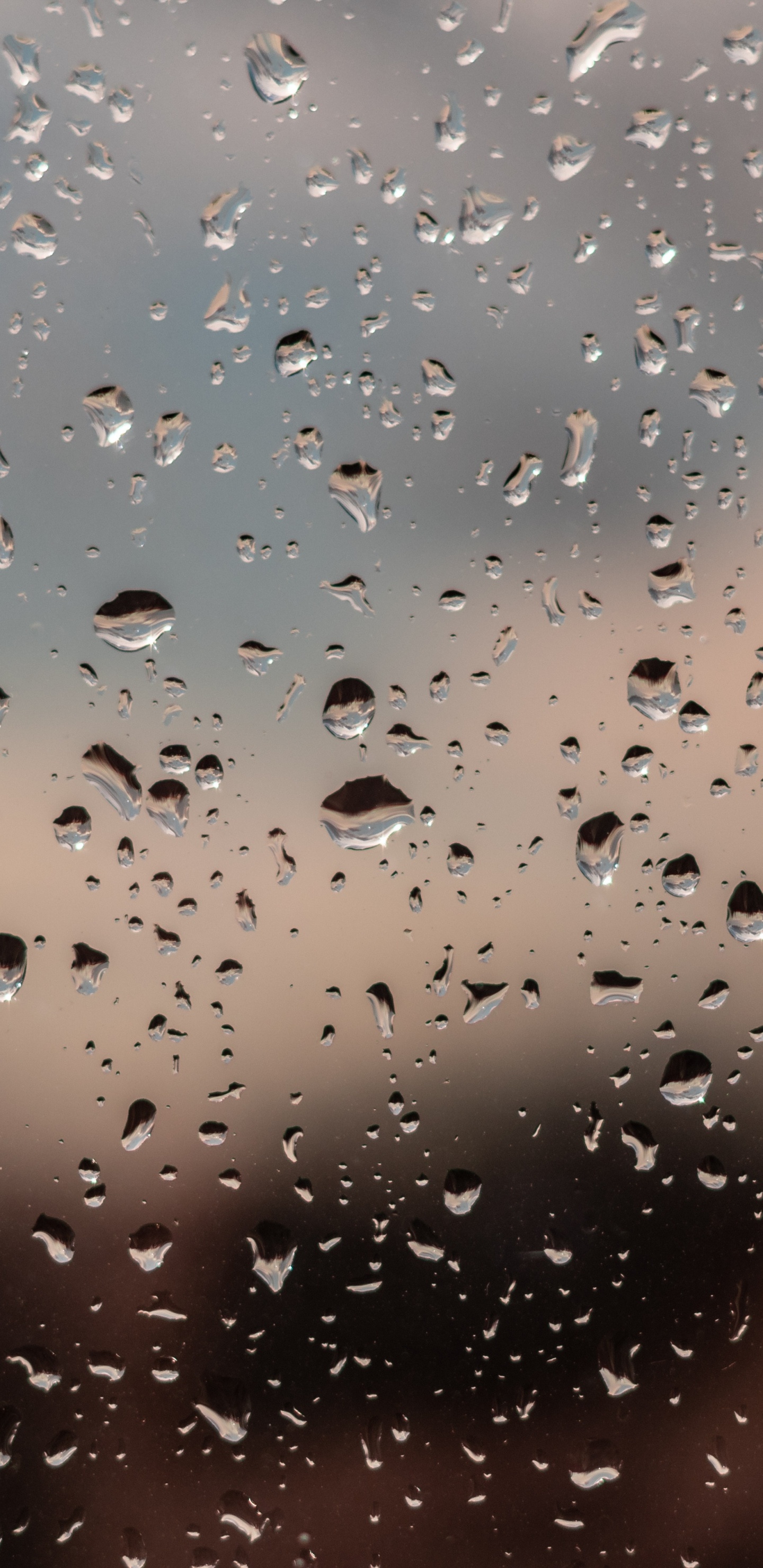 Regen, Wasser, Nieselregen, Tropfen, Niederschlag. Wallpaper in 1440x2960 Resolution
