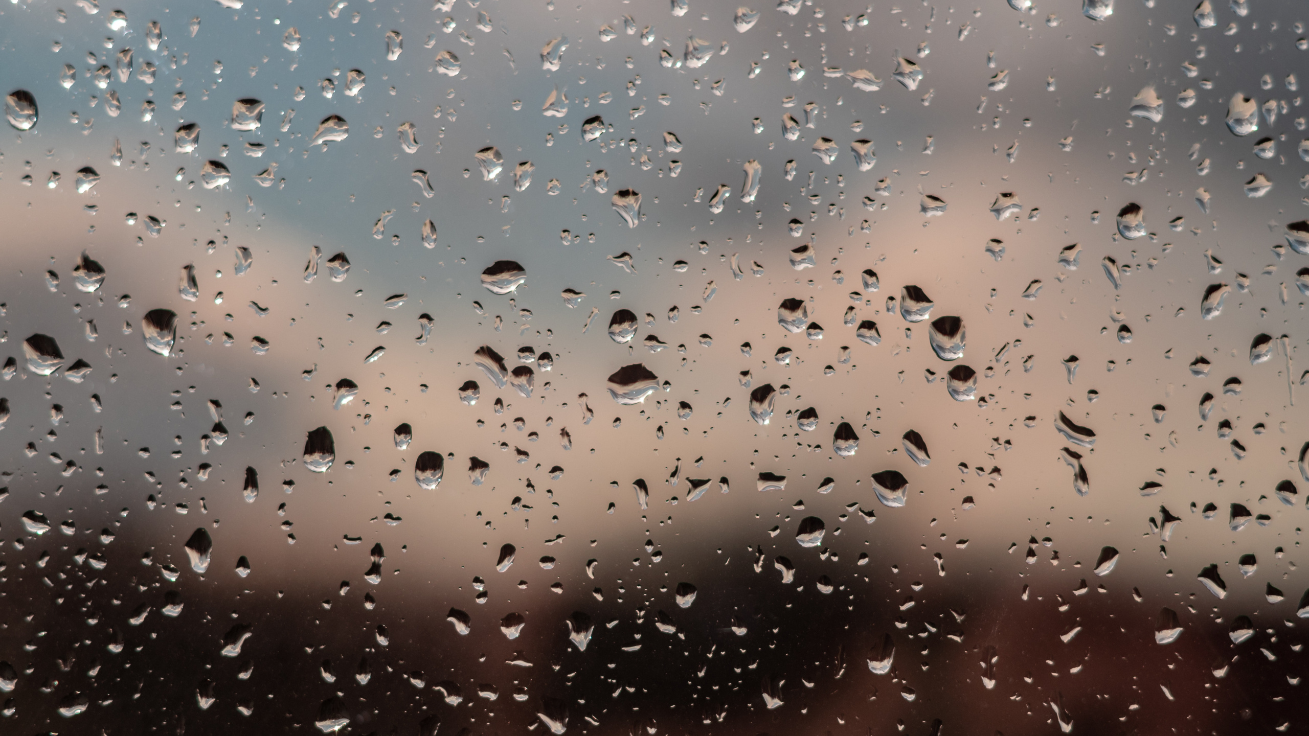 Rain, Water, Drizzle, Drop, Precipitation. Wallpaper in 2560x1440 Resolution
