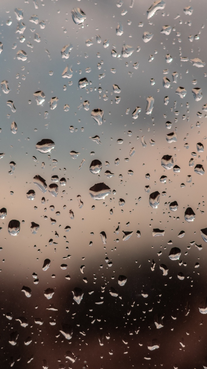 Rain, Water, Drizzle, Drop, Precipitation. Wallpaper in 720x1280 Resolution