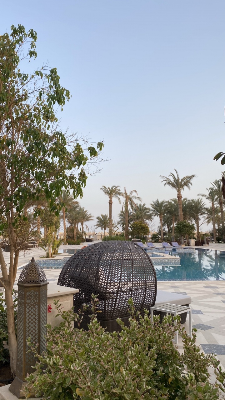 Architektur, Palme, Gebäude, Wasser, Haus. Wallpaper in 720x1280 Resolution