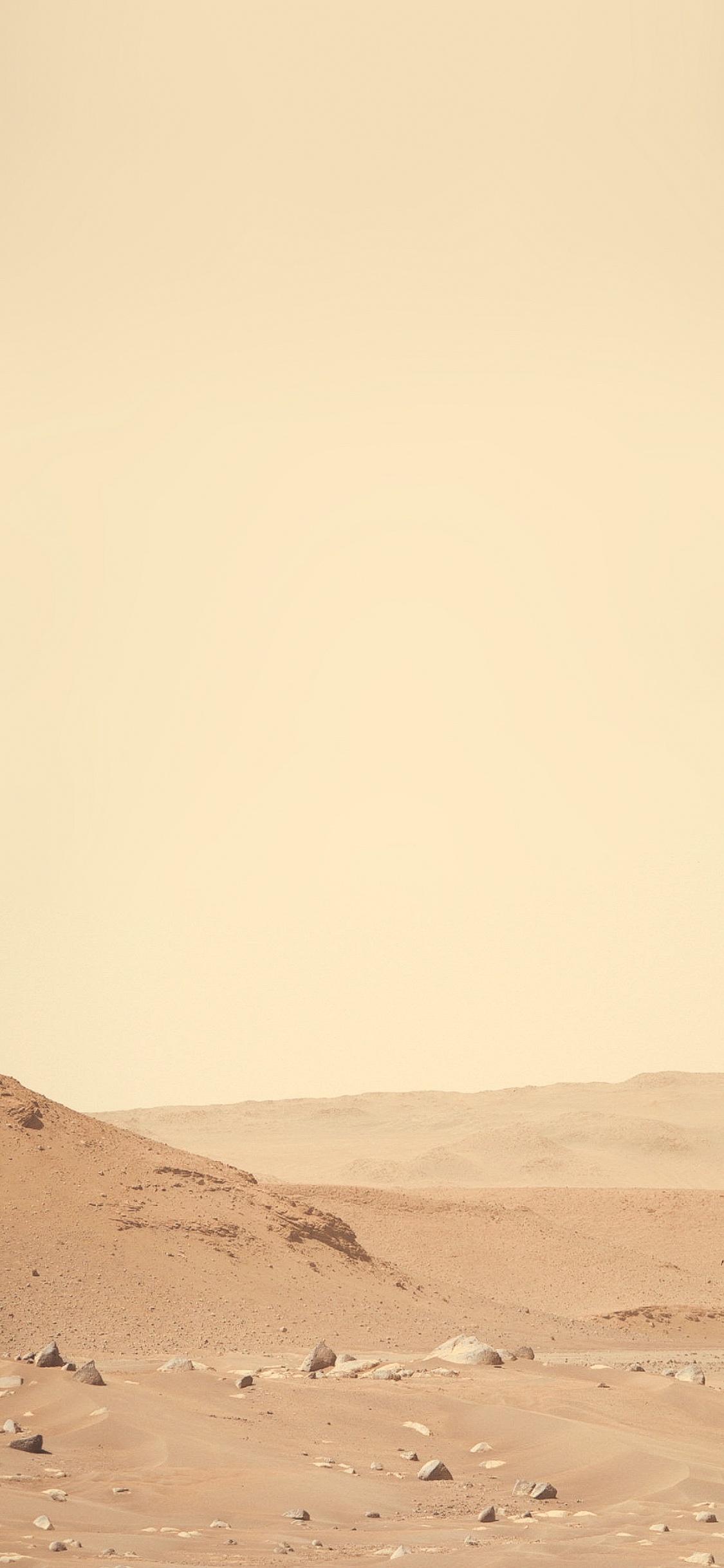 Mars, Perseverence, Brown, Ecoregion, Natural Environment. Wallpaper in 1125x2436 Resolution