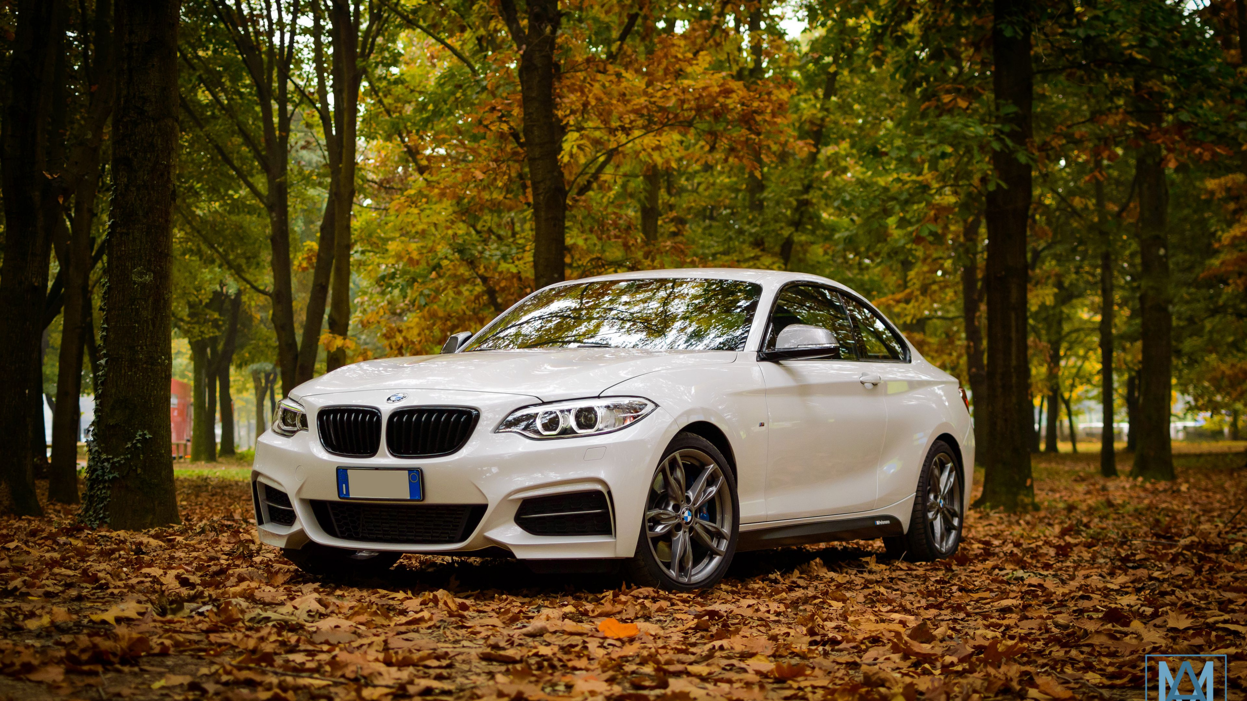 Bmw, Bayerische Motoren Werke AG, Cars, BMW M1, Bmw 3 Series. Wallpaper in 2560x1440 Resolution