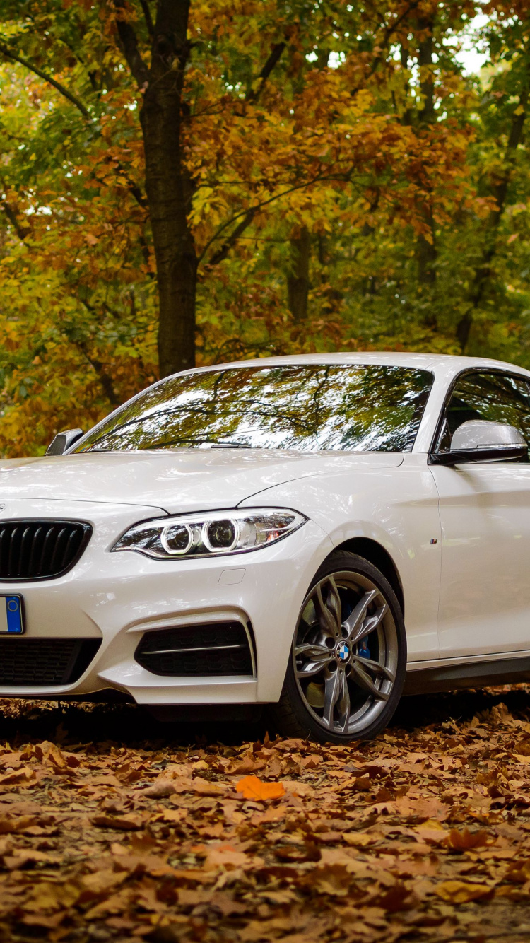 Bmw, Bayerische Motoren Werke AG, Cars, BMW M1, Bmw 3 Series. Wallpaper in 750x1334 Resolution