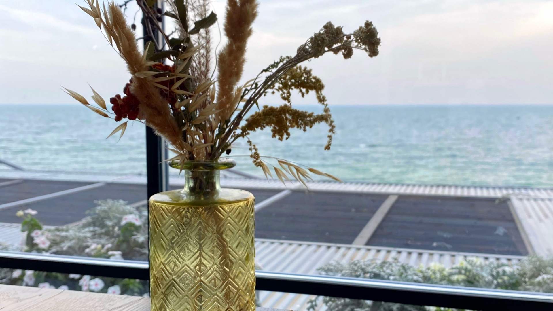 Meal, Branch, Wood, Twig, Ocean. Wallpaper in 1920x1080 Resolution