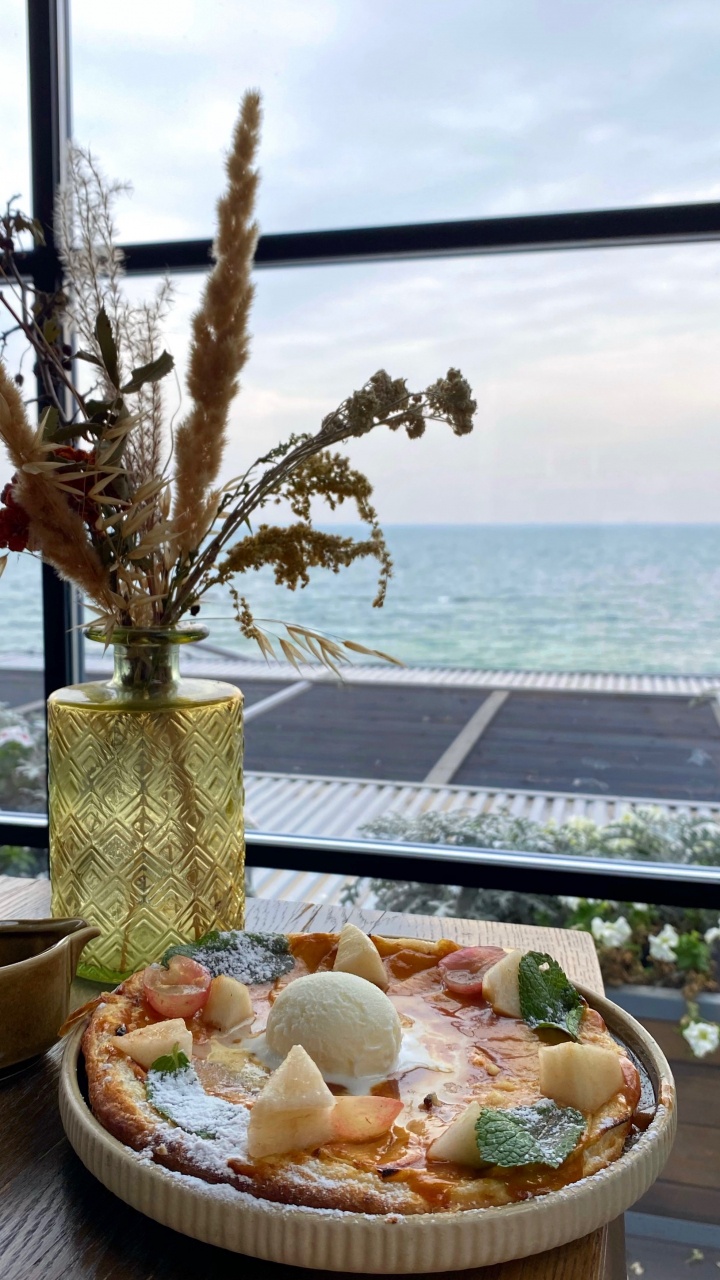 Meal, Branch, Wood, Twig, Ocean. Wallpaper in 720x1280 Resolution