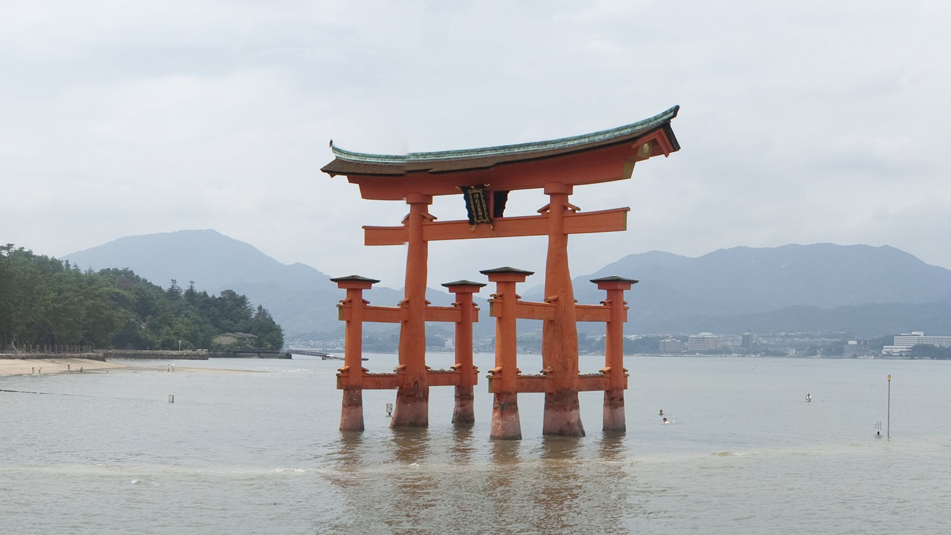 Árboles Verdes Cerca Del Cuerpo de Agua Durante el Día. Wallpaper in 1920x1080 Resolution