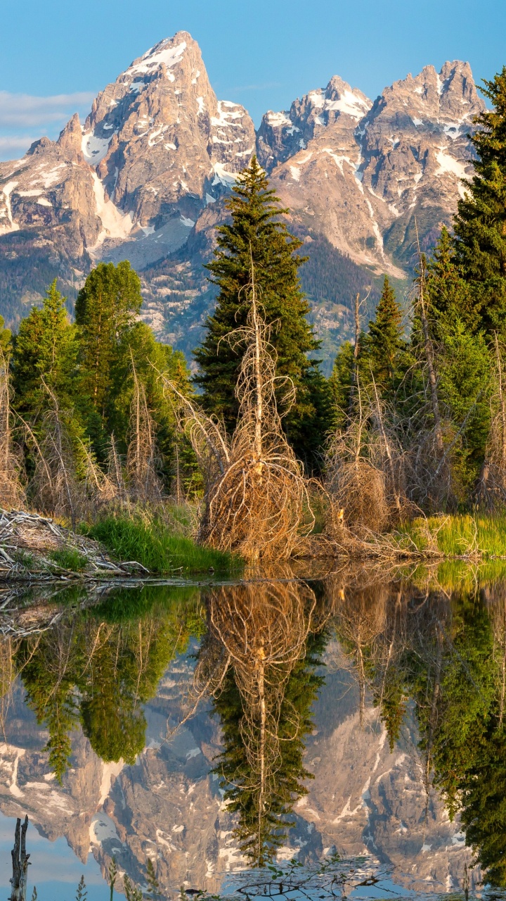 Green Trees Near Body of Water During Daytime. Wallpaper in 720x1280 Resolution