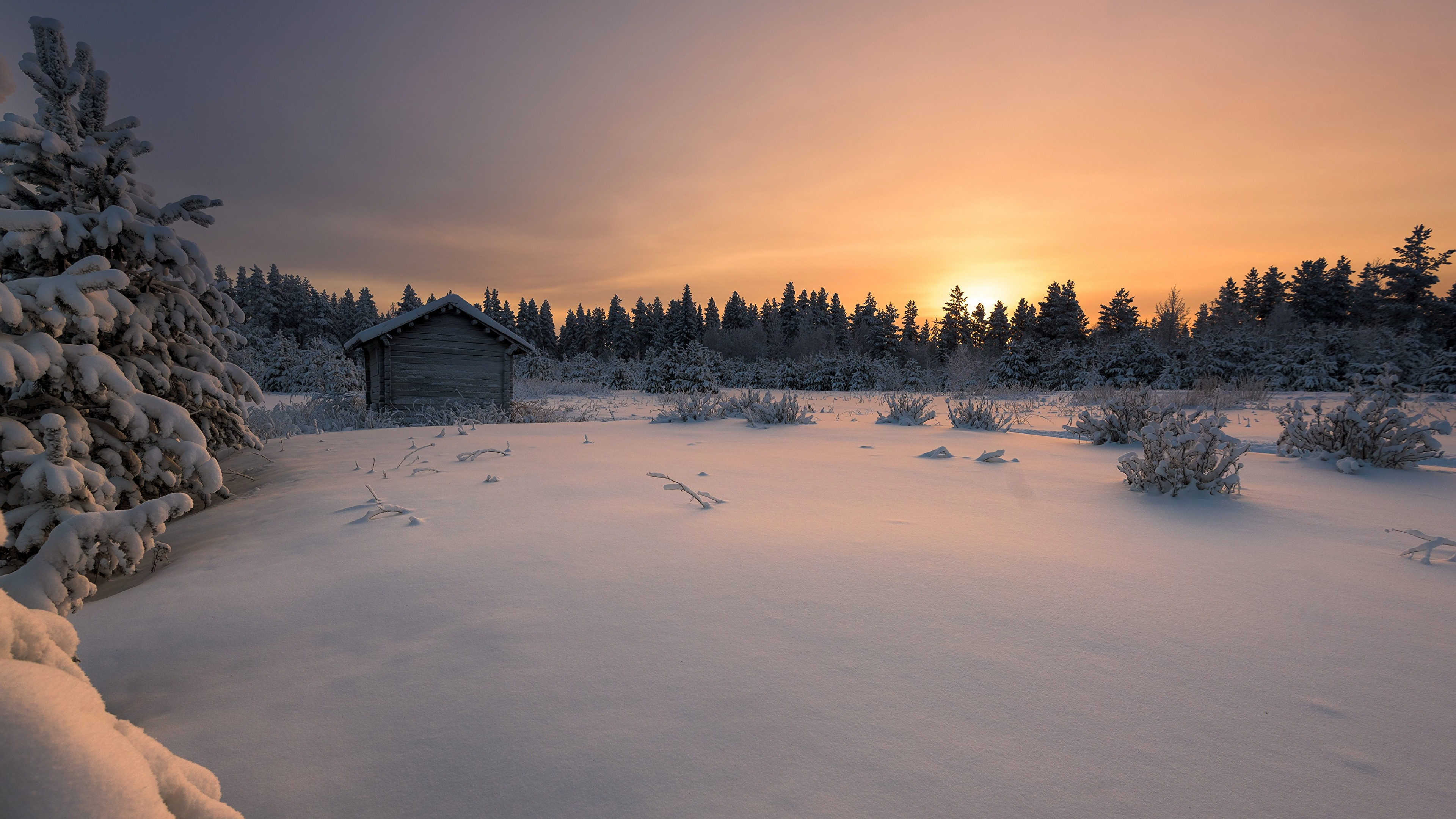 Campo Cubierto de Nieve y Árboles Durante el Día. Wallpaper in 3840x2160 Resolution
