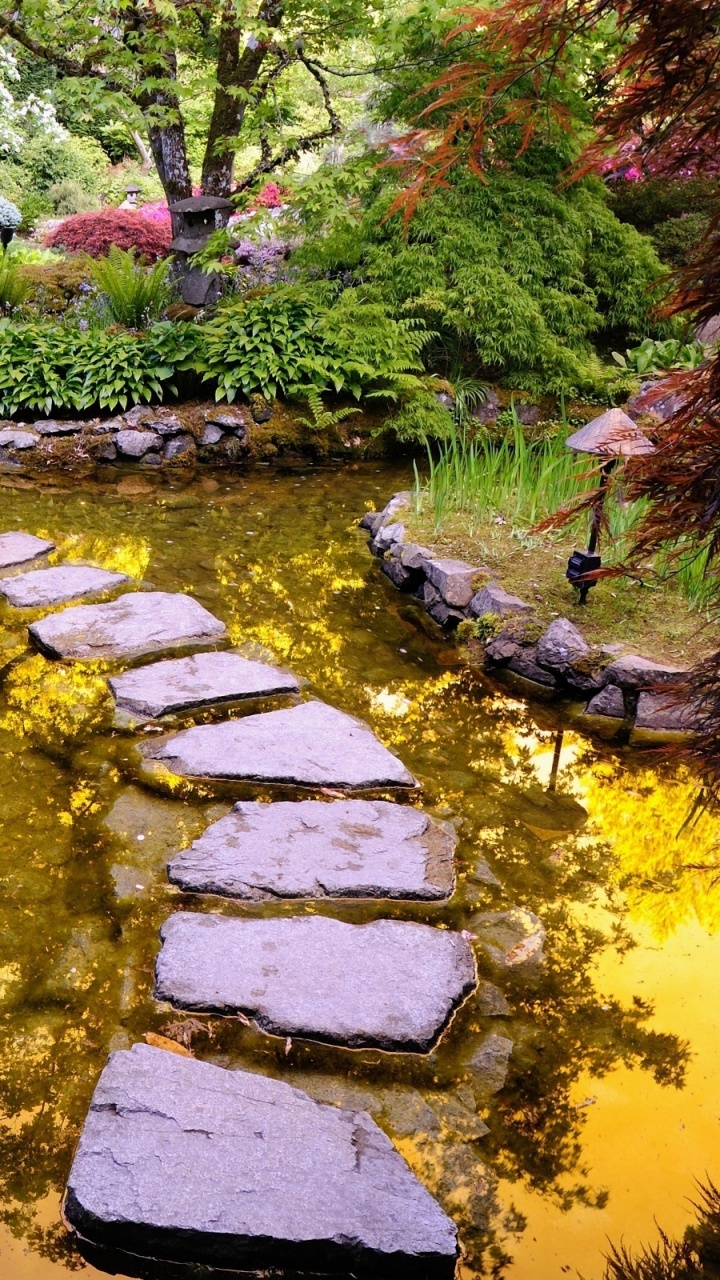 Green Plants and Trees on Brown Soil. Wallpaper in 720x1280 Resolution