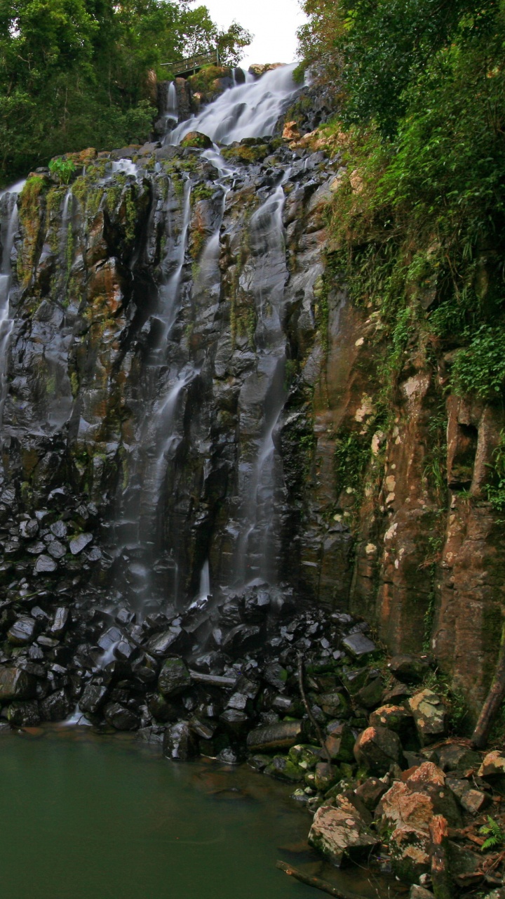 L'eau Tombe Entre Les Arbres Verts Pendant la Journée. Wallpaper in 720x1280 Resolution