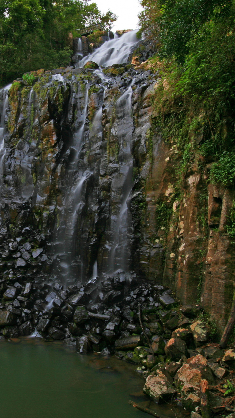 L'eau Tombe Entre Les Arbres Verts Pendant la Journée. Wallpaper in 750x1334 Resolution