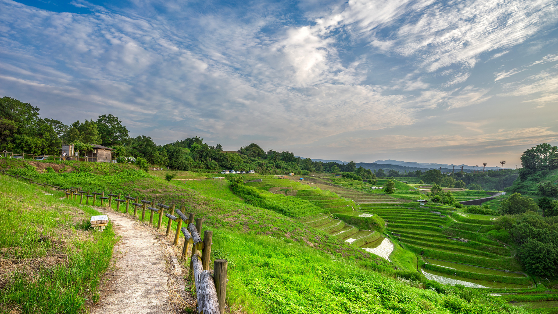 Green Grass Field Under Blue Sky During Daytime. Wallpaper in 1920x1080 Resolution