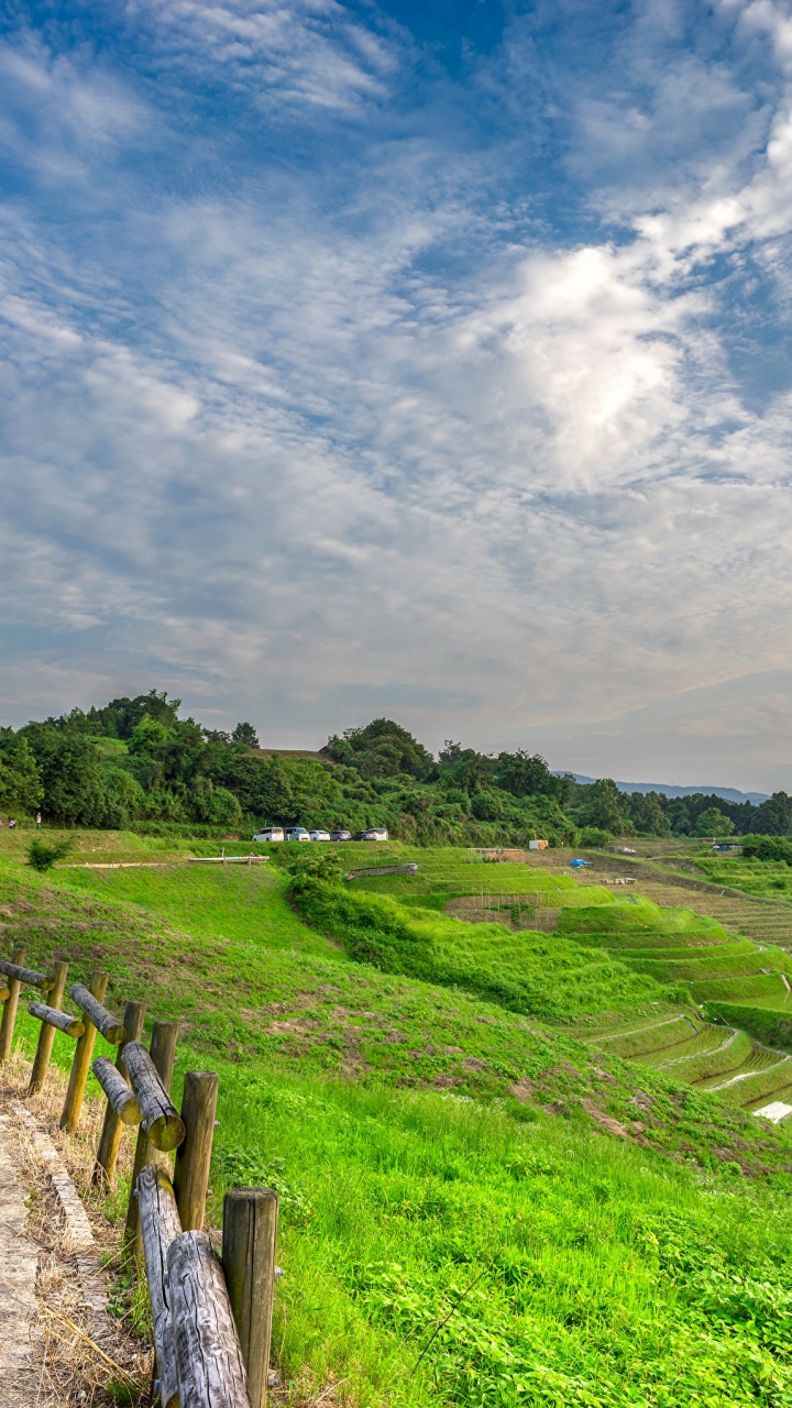 Green Grass Field Under Blue Sky During Daytime. Wallpaper in 720x1280 Resolution