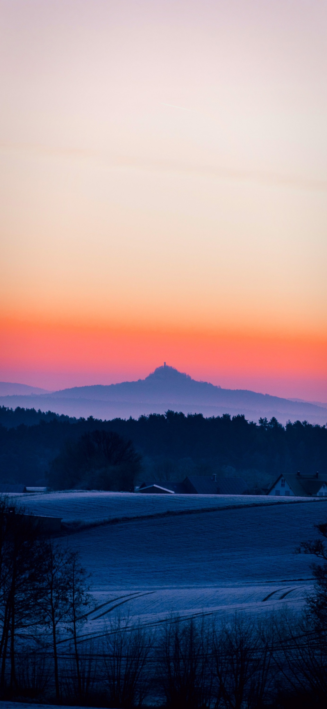 Goldener Garten Park, Wasser, Atmosphäre, Ökoregion, Naturlandschaft. Wallpaper in 1125x2436 Resolution